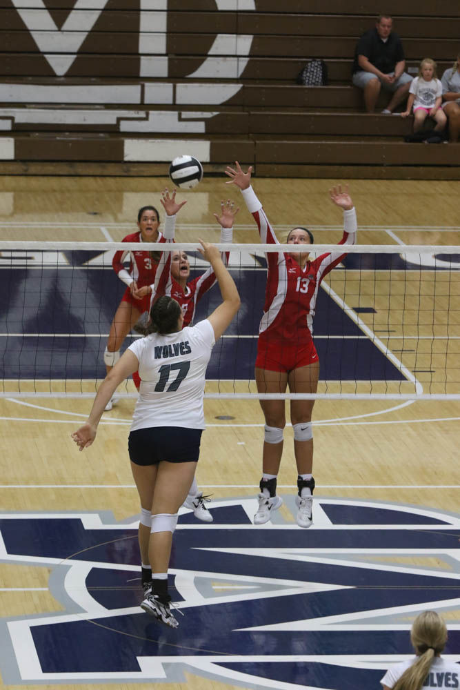Gallery: Girls volleyball - Crown Point at Michigan City